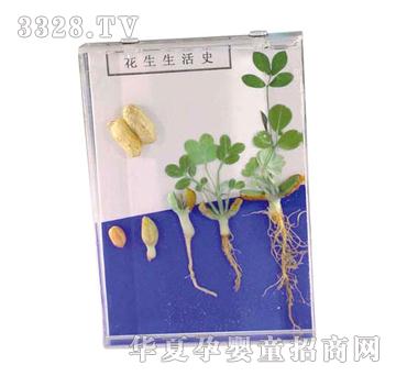 ����ͯ�ݻ������Lʷ�˱�