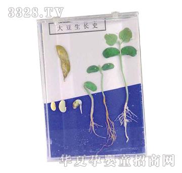 ����ͯ�ݴ����Lʷ�˱�