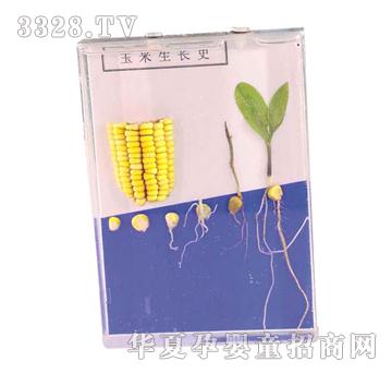 ����ͯ���������Lʷ�˱�