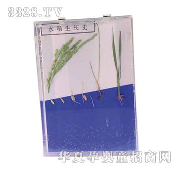 ����ͯ��ˮ�����Lʷ�˱�