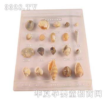 ����ͯ�ݺ���ؐ���˱�