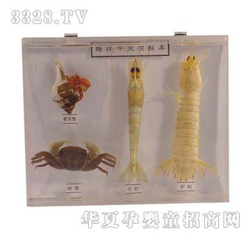 ����ͯ�ݺ���ך��˱�