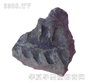 ����ͯ��ާ�ʯ�˱�