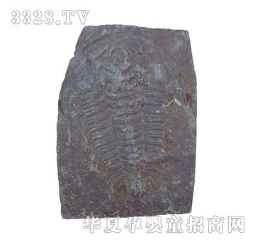 ����ͯ�����~�x��ʯ�˱�