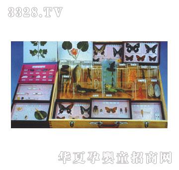 ���~���׃�����˱��̾���