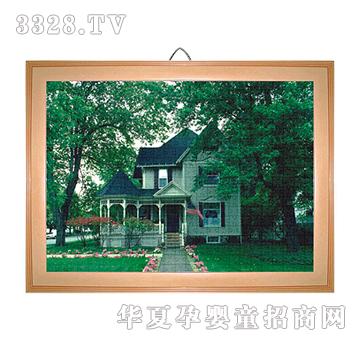 ������500��ƴ�D