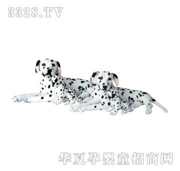 ̩��ĸ�Ӵ�����ϵ��