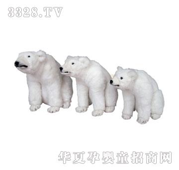 ̩��ױ��O��