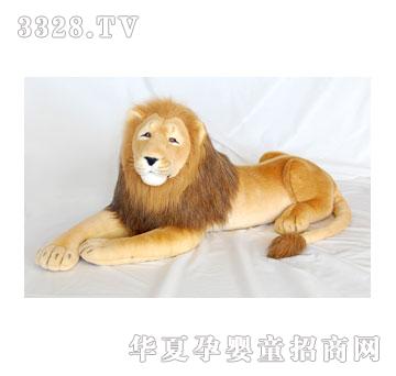 ̩�� �P�{��