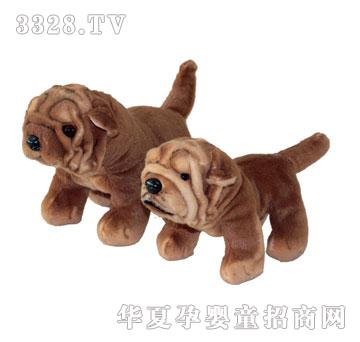 ̩�����SɳƤ