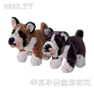 ̩����ȭ��Ȯ