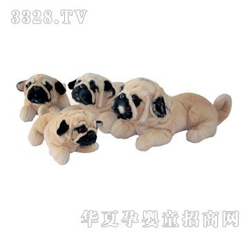 ̩���P�װ͸�