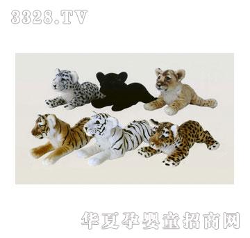 ̩��60cm�׻����{