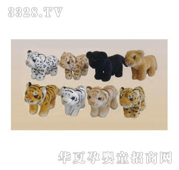 ̩��16cmվ�����{