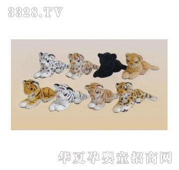 ̩��16cm�ɻ����{