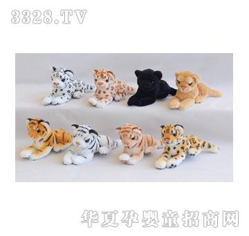 ̩��16cm�P�����{