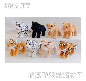 ̩��20CM�������{