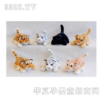 ̩��20CM��ˣ�����{