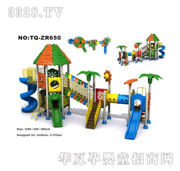 �������M�ϻ���TQ-ZR650