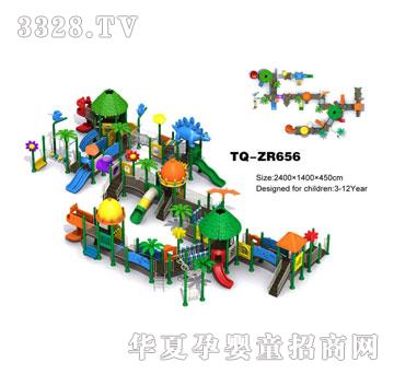 �������M�ϻ���TQ-ZR656