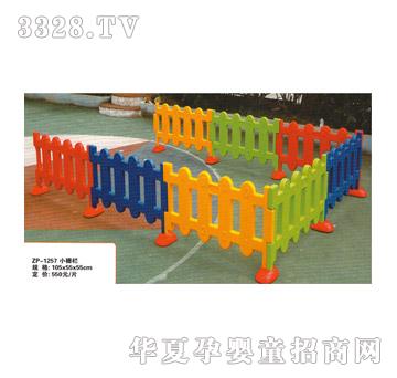 ���iZP-1257С�ř�