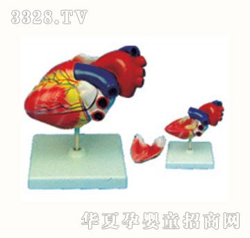 �_�Ĉ@���Kģ��JWJ-9315H