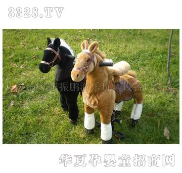 ���izp-�T��ľ�R