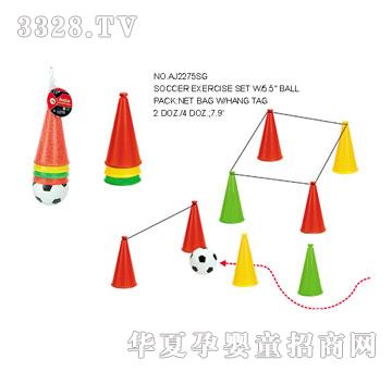 �W�����z�����TAJ2275SG