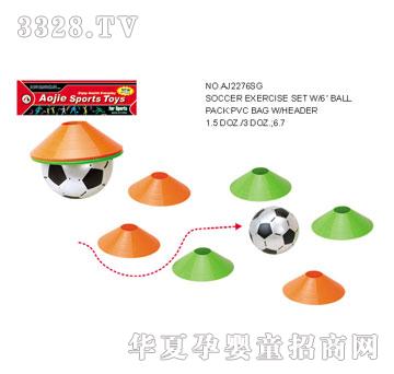 �W�����z�����TAJ2276SG