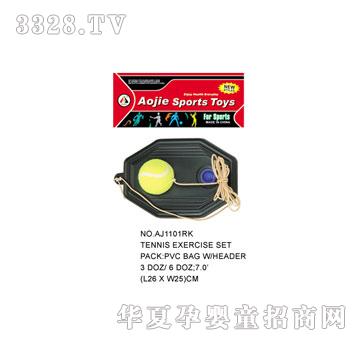 �W�����z����AJ1101RK