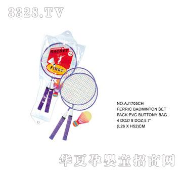 �W�����z����AJ1705CH