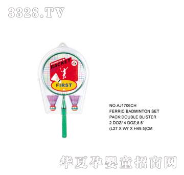 �W�����z����AJ1706CH