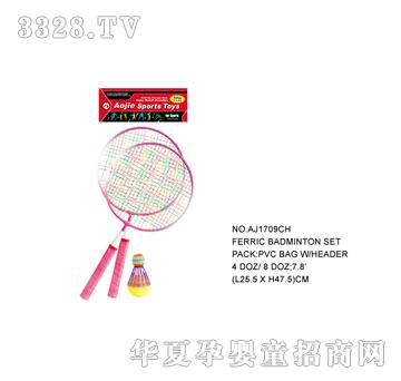 �W�����z����AJ1709CH