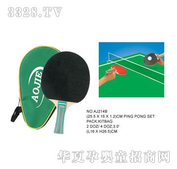 �W�����z����AJ214B