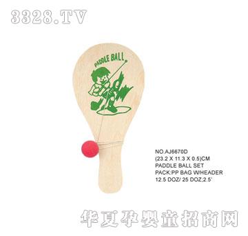 �W�����z����AJ6670D