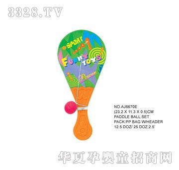 �W�����z����AJ6670E