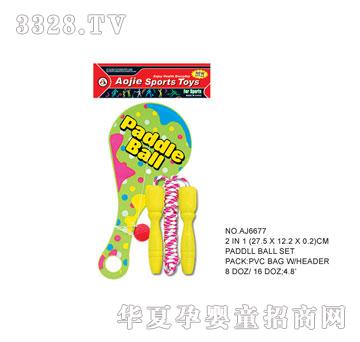 �W�����z����AJ6677