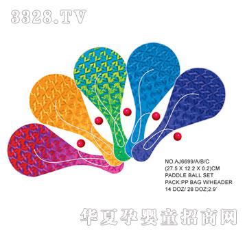 �W�����z����AJ6699A