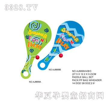 �W�����z����AJ6699B