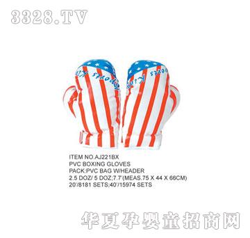 �W�����z����ȭ����AJ221BX