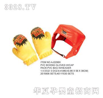 �W�����z����ȭ����AJ229BX