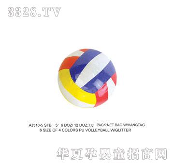 �W�����z������AJ310-5STB