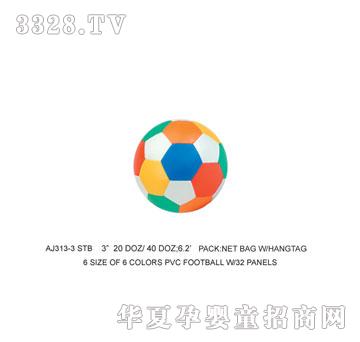 �W�����z������AJ313-3STB