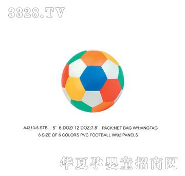 �W�����z������AJ313-5STB