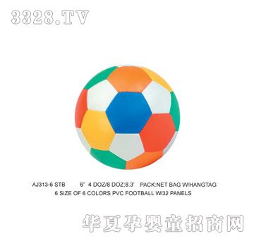 �W�����z������AJ313-6STB