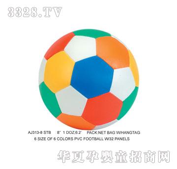 �W�����z������AJ313-8STB