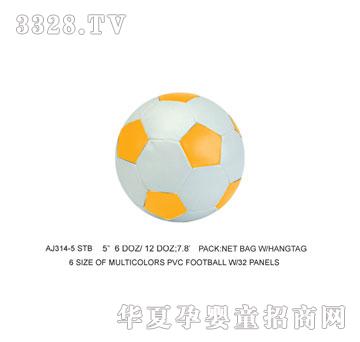 �W�����z������AJ314-5STB