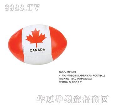 �W�����z������AJ319STB