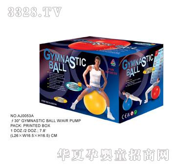 �W�����z������AJ0053A