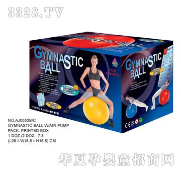 �W�����z������AJ0053BC